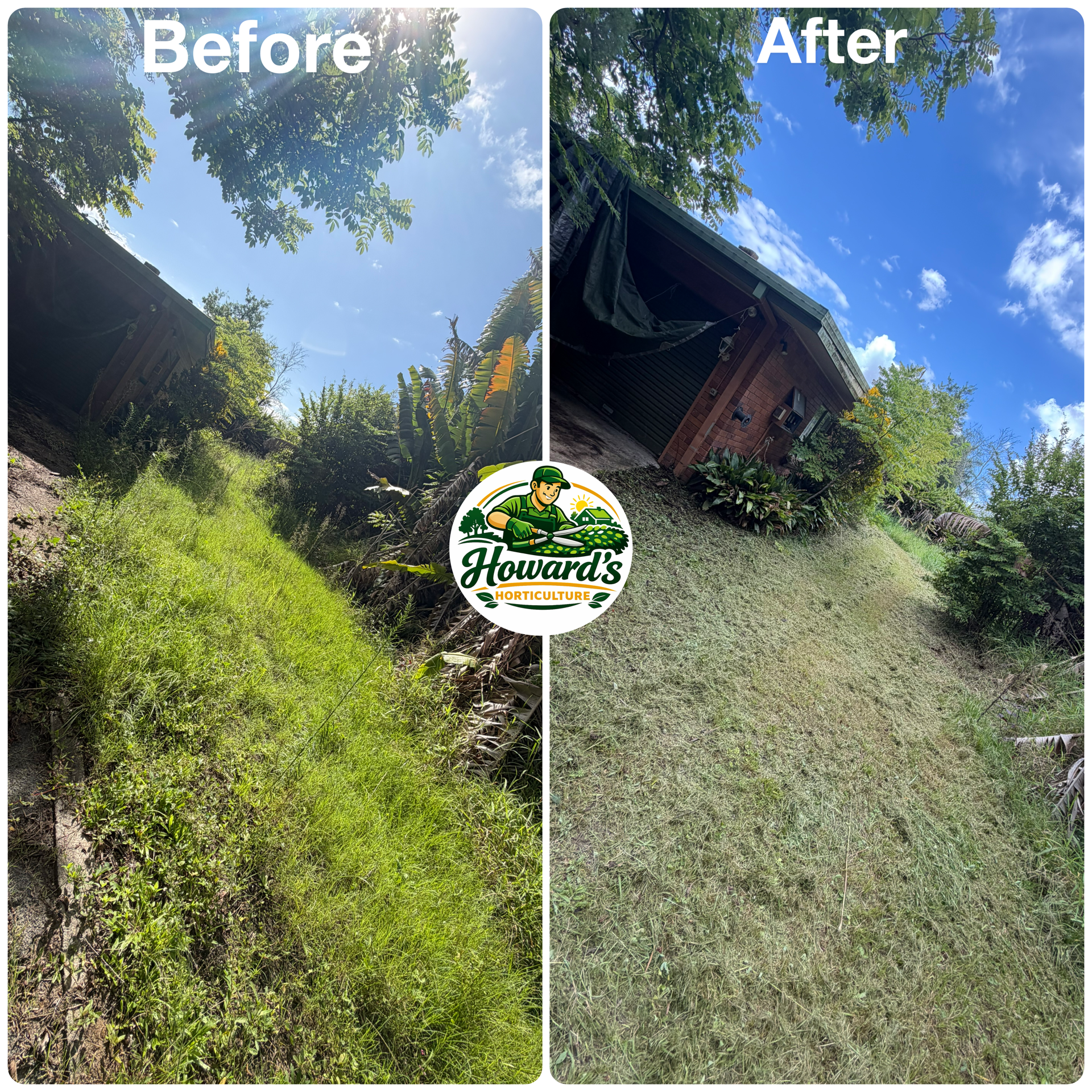 Garden transformation