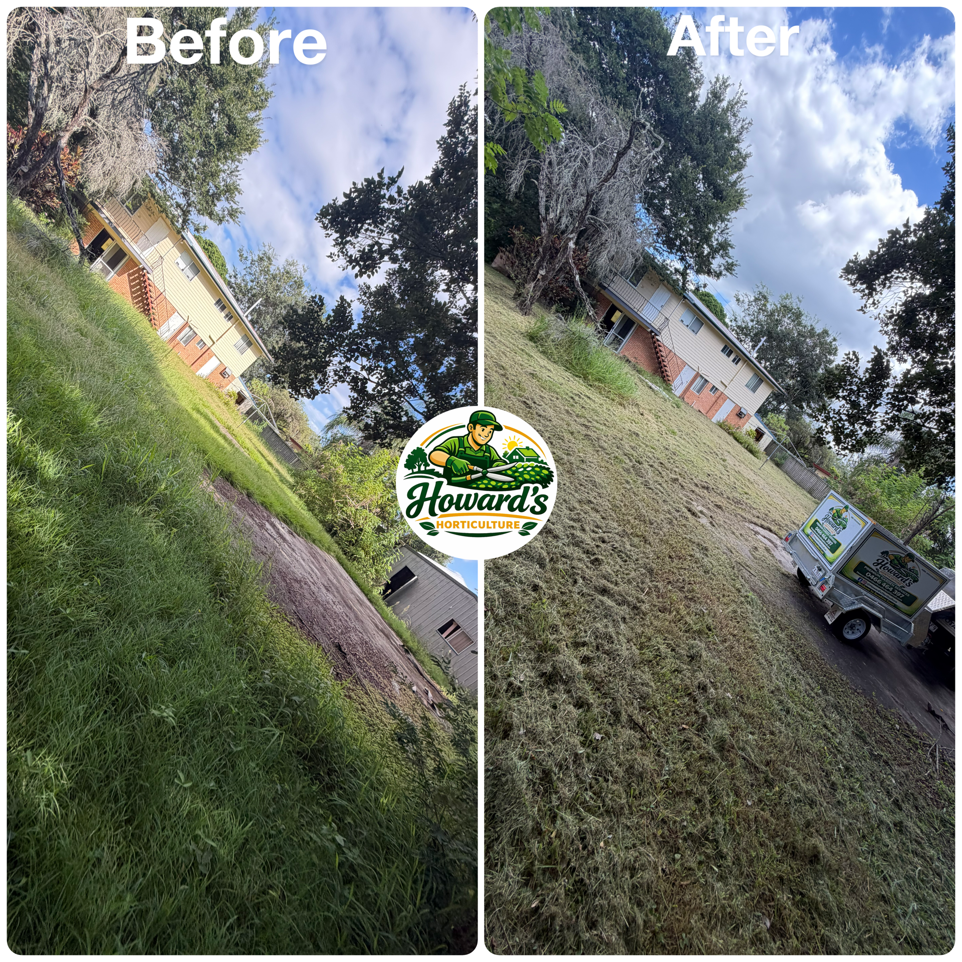 Garden transformation