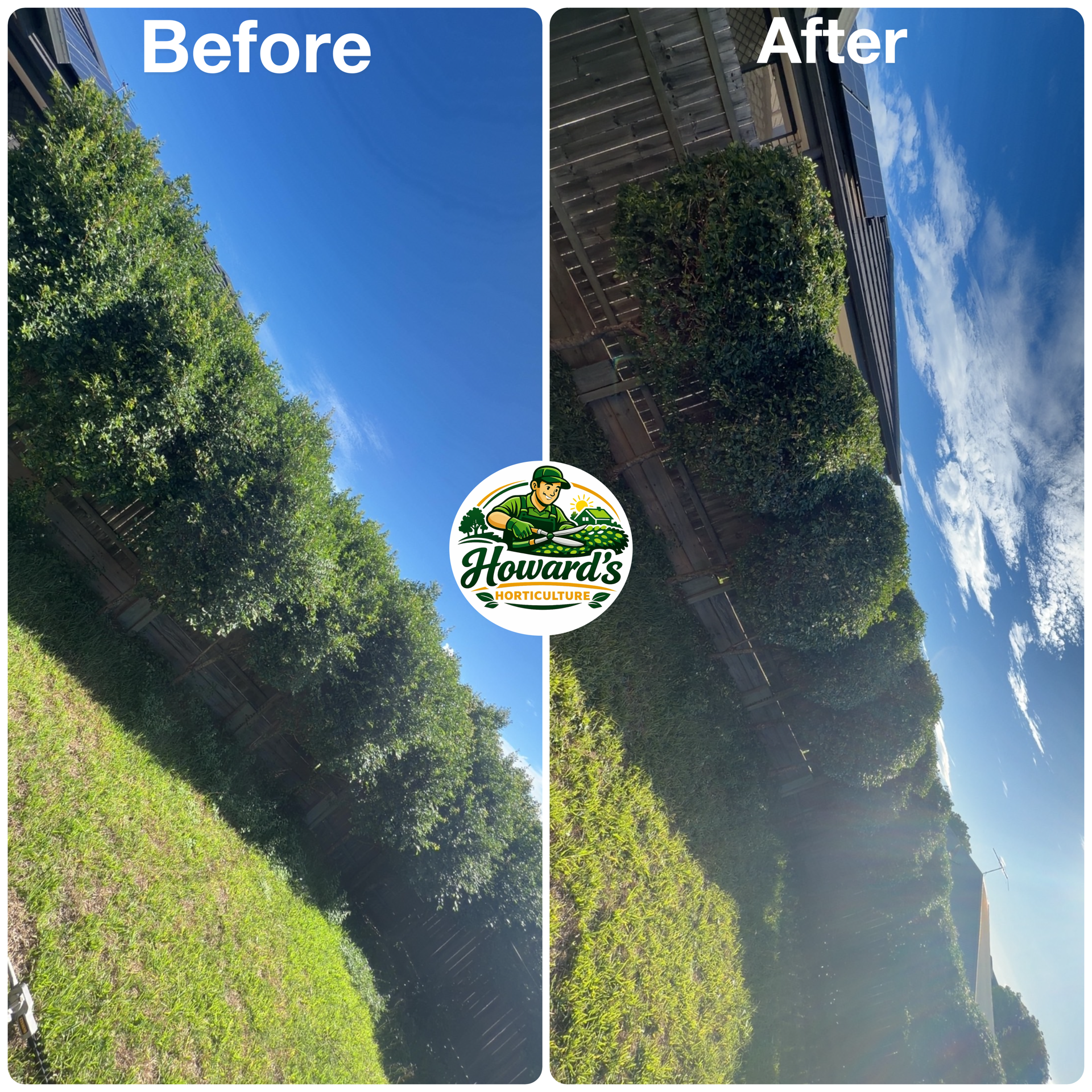 Garden transformation